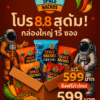 Space Nachos Box – 15 Packs (Special 8.8 Promo)